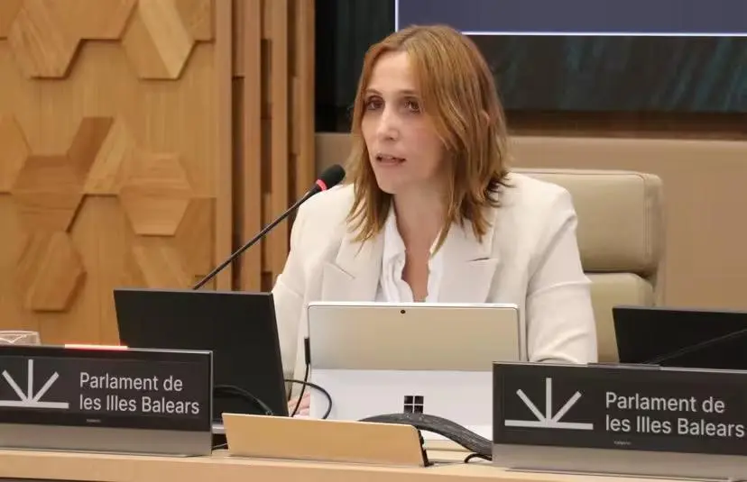 La directora general de Personal Docente y Centros Concertados, Joana Maria Cabrer, comparece en la Comisi&oacute;n de Asuntos Generales e Institucionales.