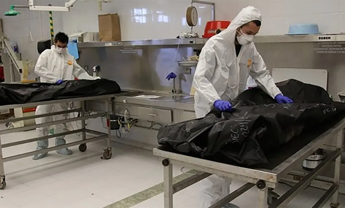 dep&oacute;sito cad&aacute;veres