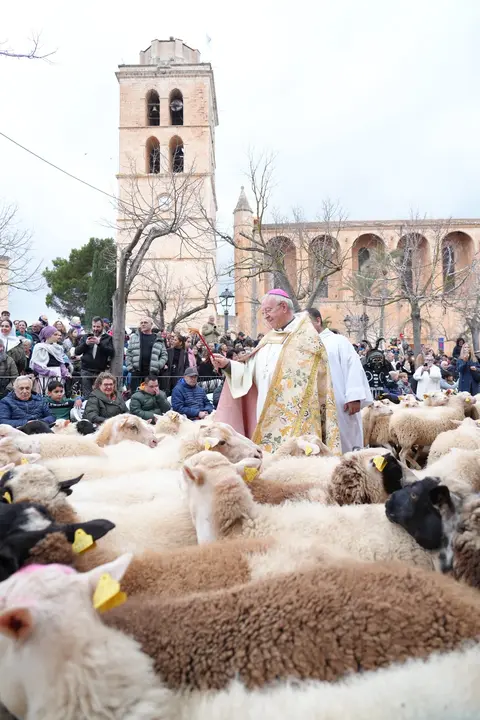 Bendici&oacute;n de los animales