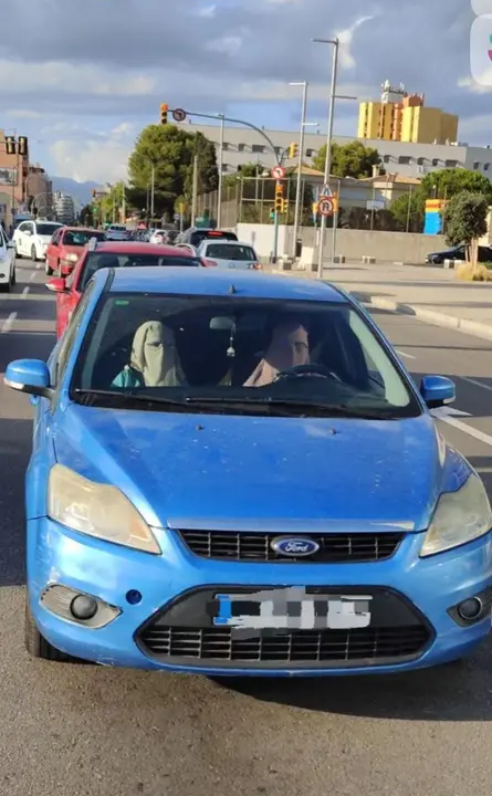 Foto tomada en Palma cedida por nuestros lectores