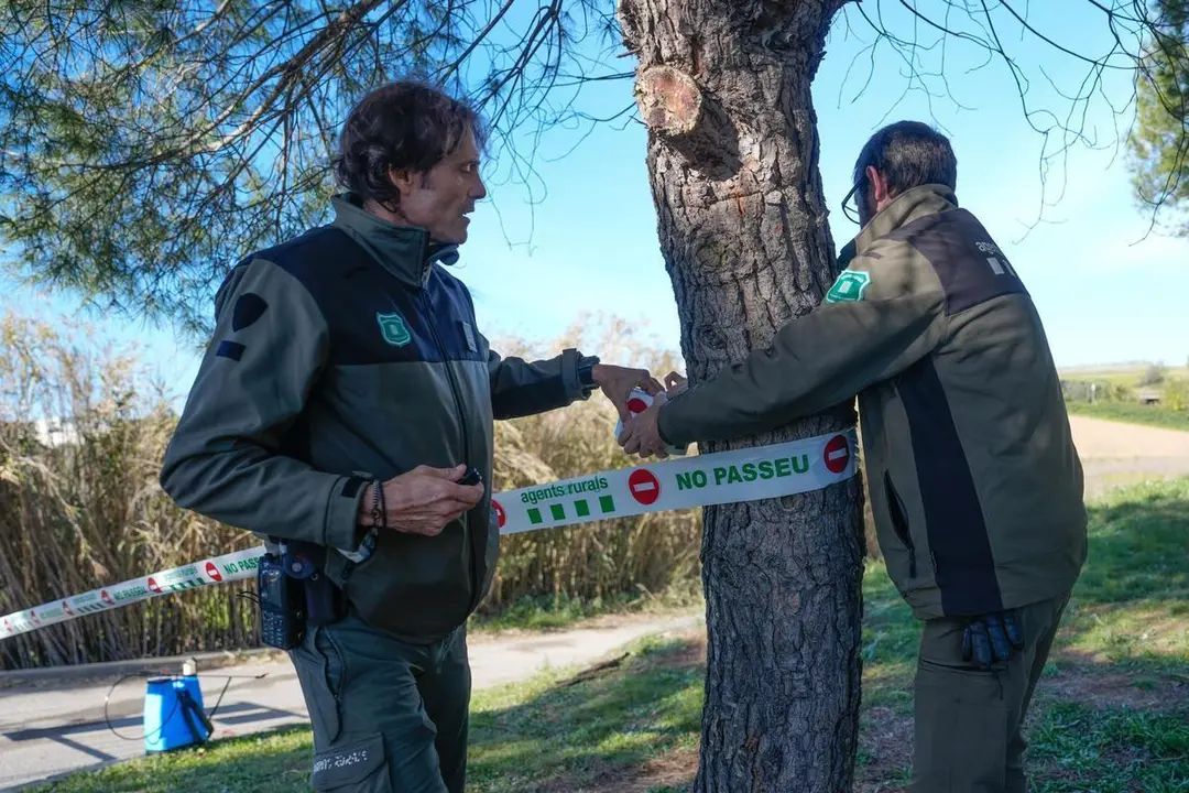 Operarios cerrando el per&iacute;metro de seguridad