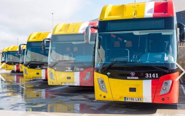 Buses del TIB