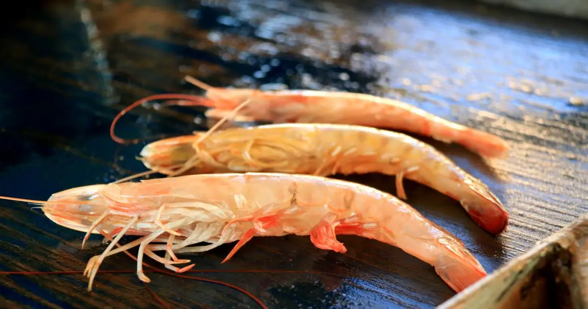 langostino caf&eacute;