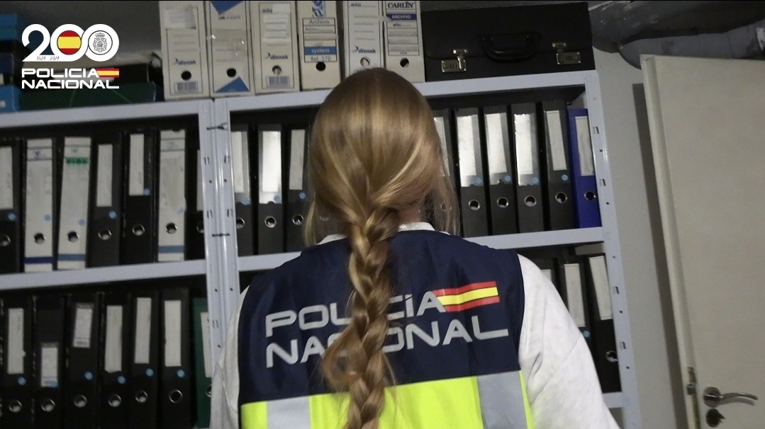 CNP. Delitos econ&oacute;micos