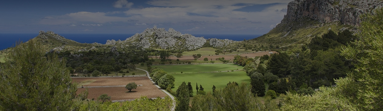 Finca de Ariant