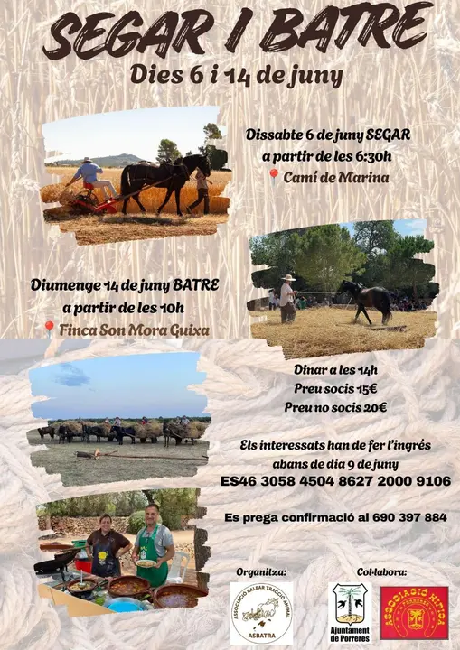 Cartel segar i batre