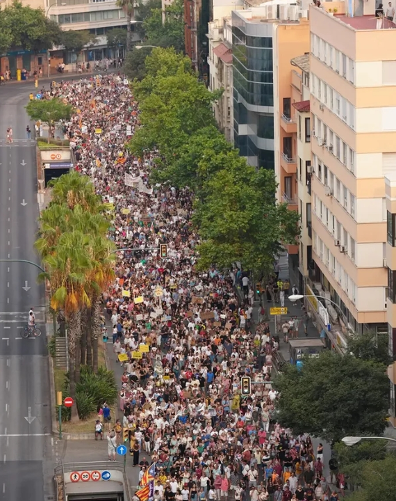 Vista a&eacute;rea de la manifestaci&oacute;n
