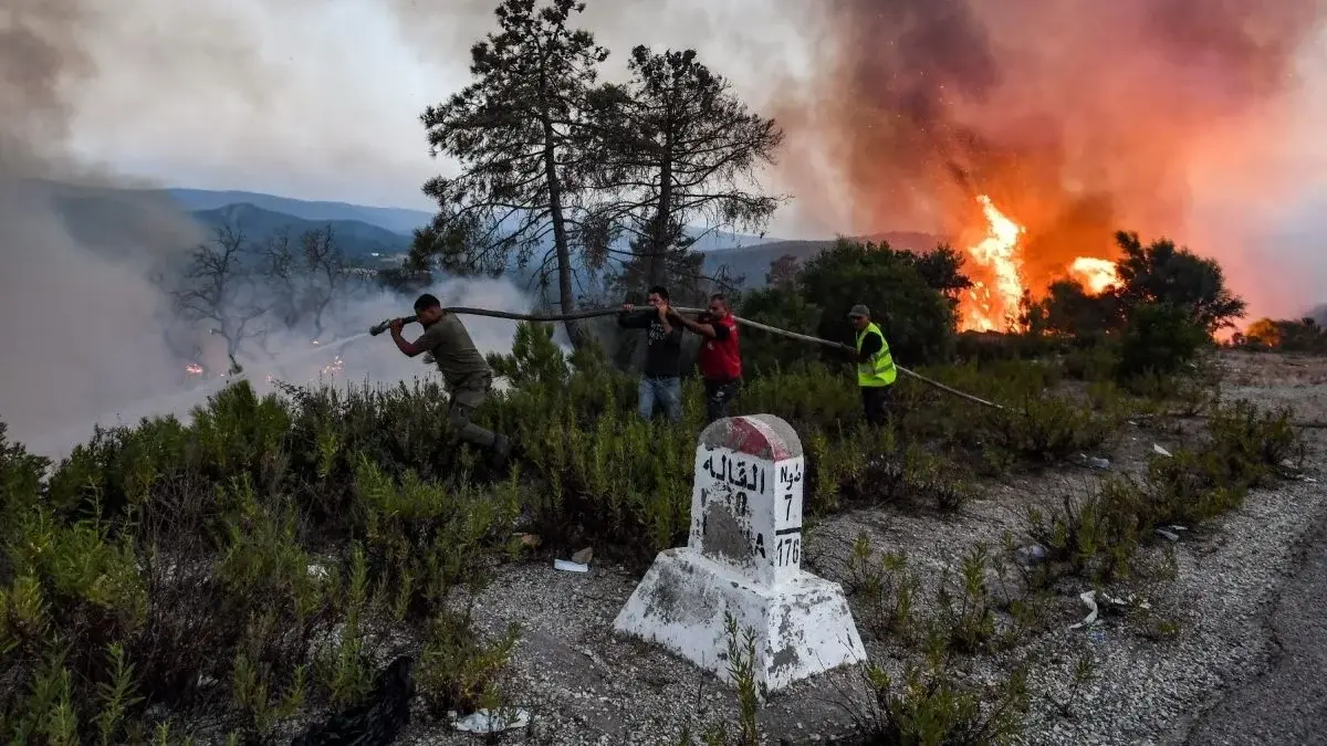 Incendios en Argelia
