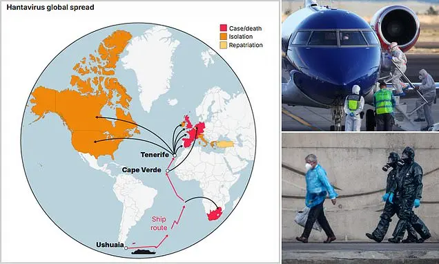 hantavirus, foto del Daily Mail del dispositivo británico