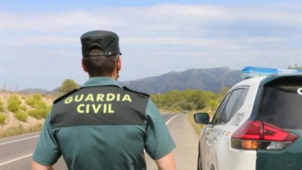 Un agente de la Guardia Civil junto a un veh&iacute;culo en una carretera.