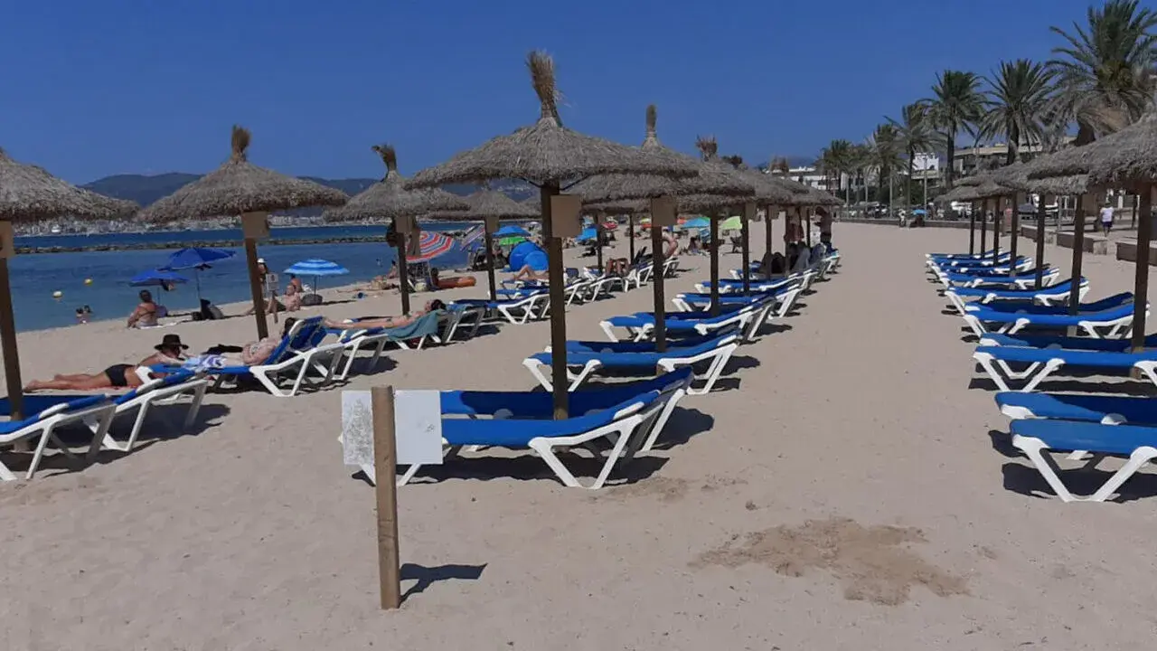 Las playas de Palma tendr&aacute;n m&aacute;s de 1.000 hamacas menos por la p&eacute;rdida de arena