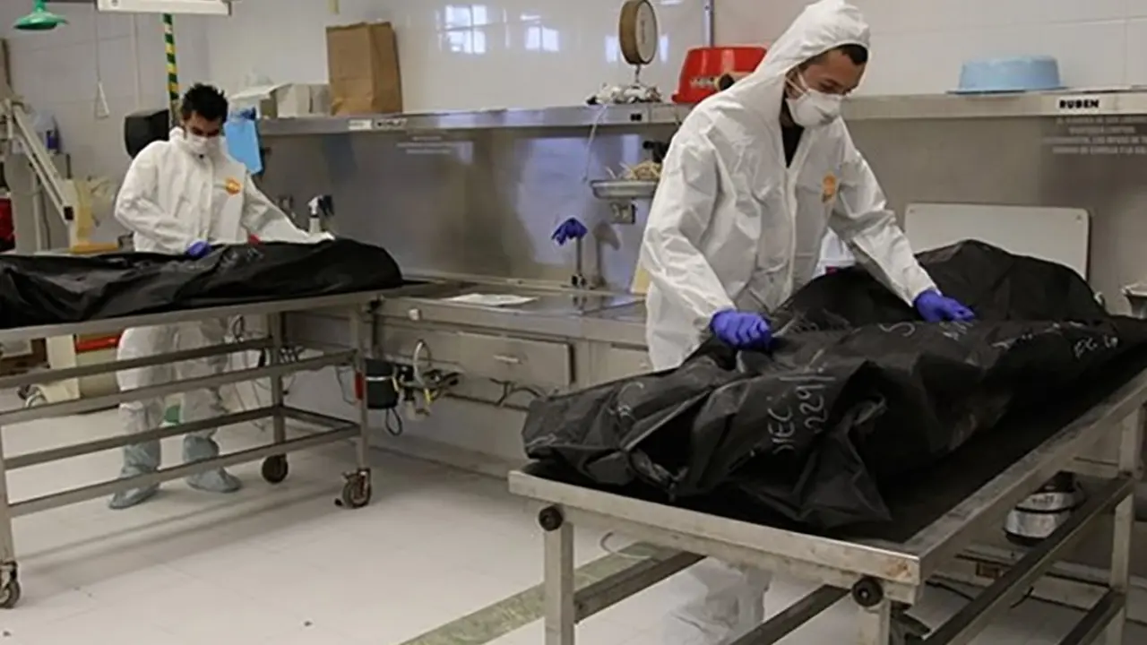 dep&oacute;sito cad&aacute;veres