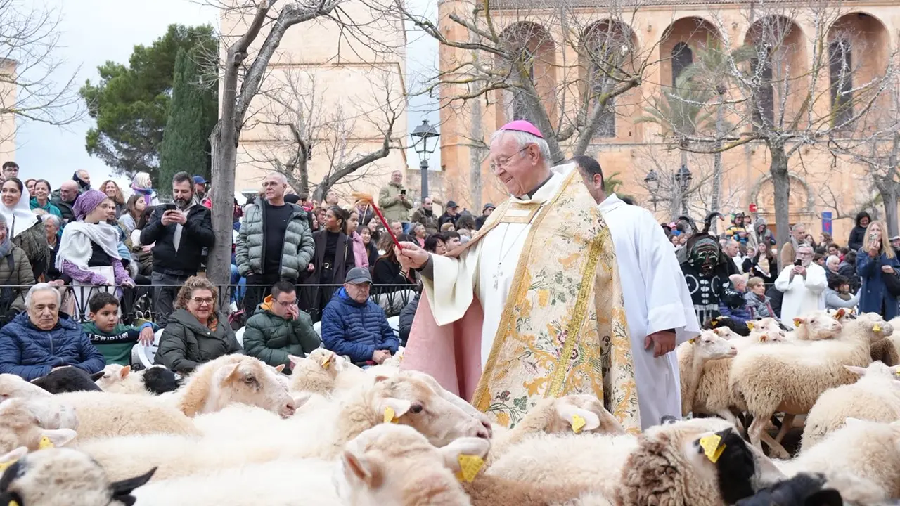 Bendici&oacute;n de los animales