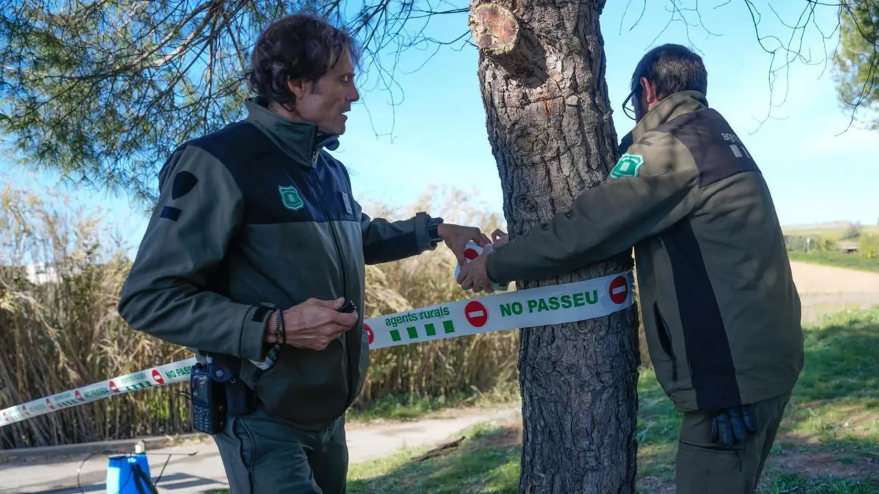 Operarios cerrando el per&iacute;metro de seguridad
