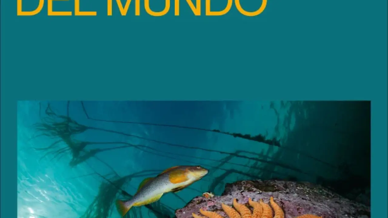 Expo Colores del mundo