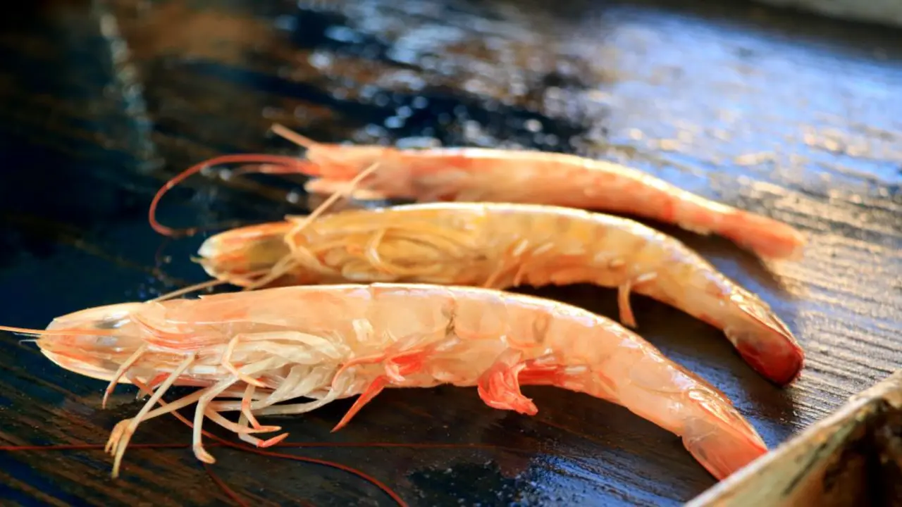 langostino caf&eacute;