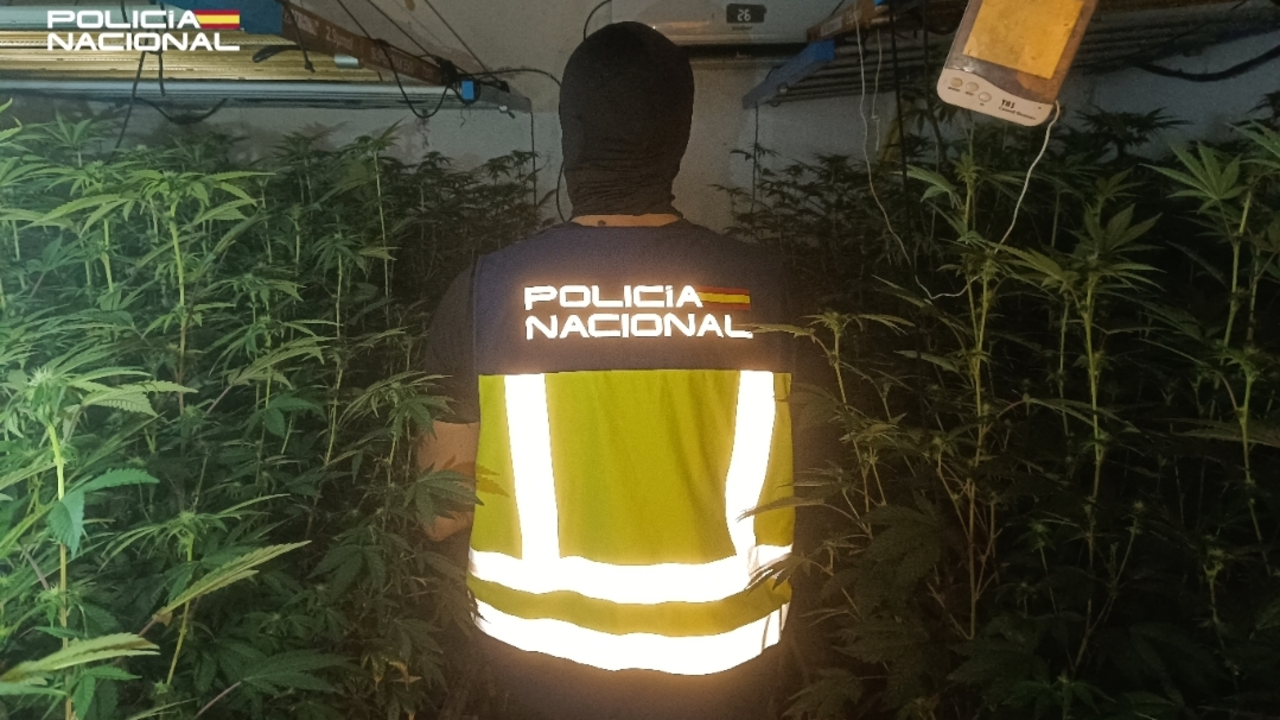 Policias durante la operaci&oacute;n