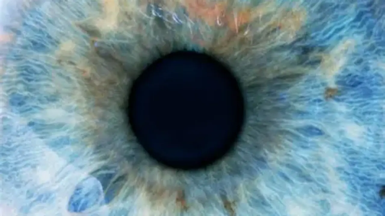 Ojo humano