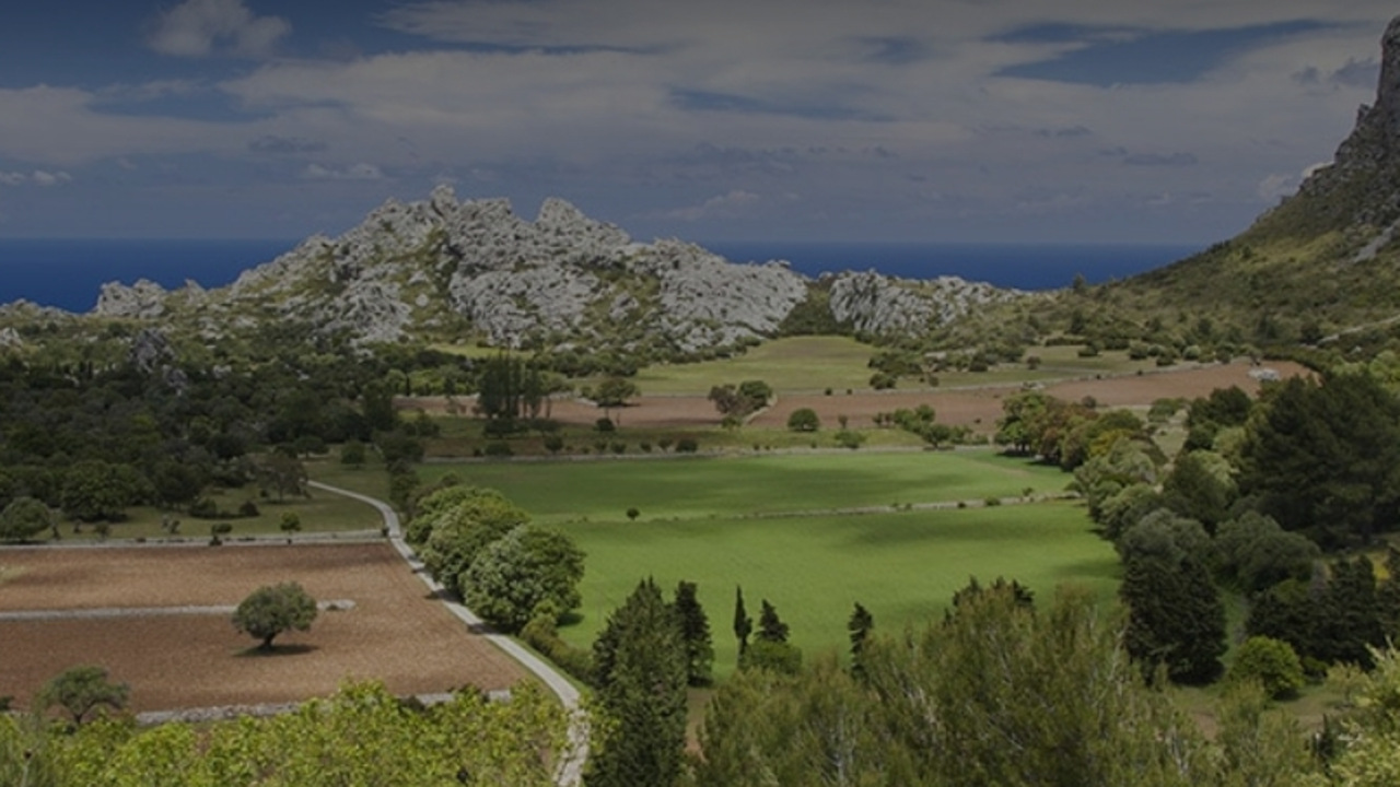 Finca de Ariant