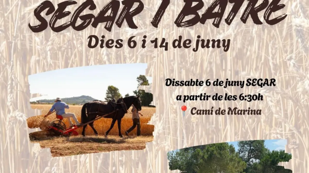 Cartel segar i batre
