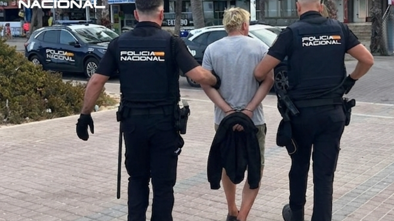 delincuente alem&aacute;n detenido