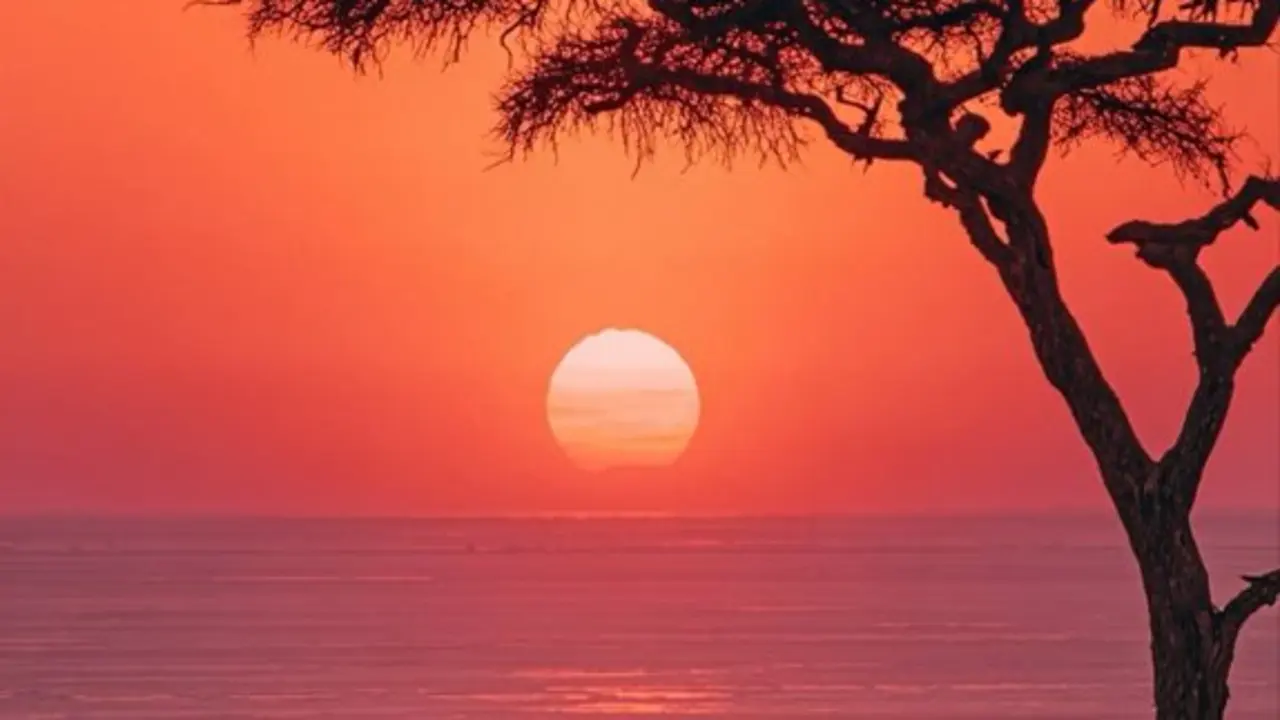 Safari Sunset