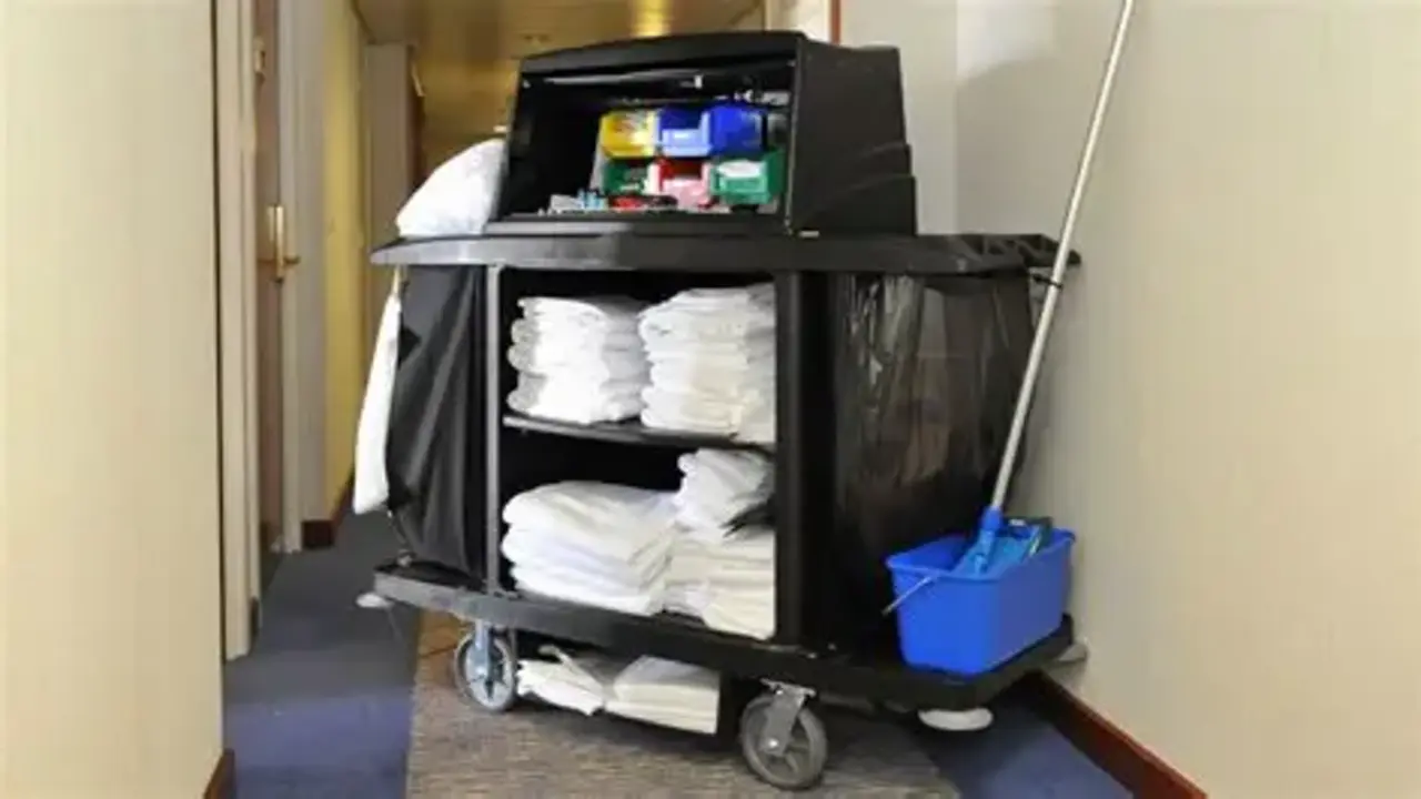 material de trabajo
