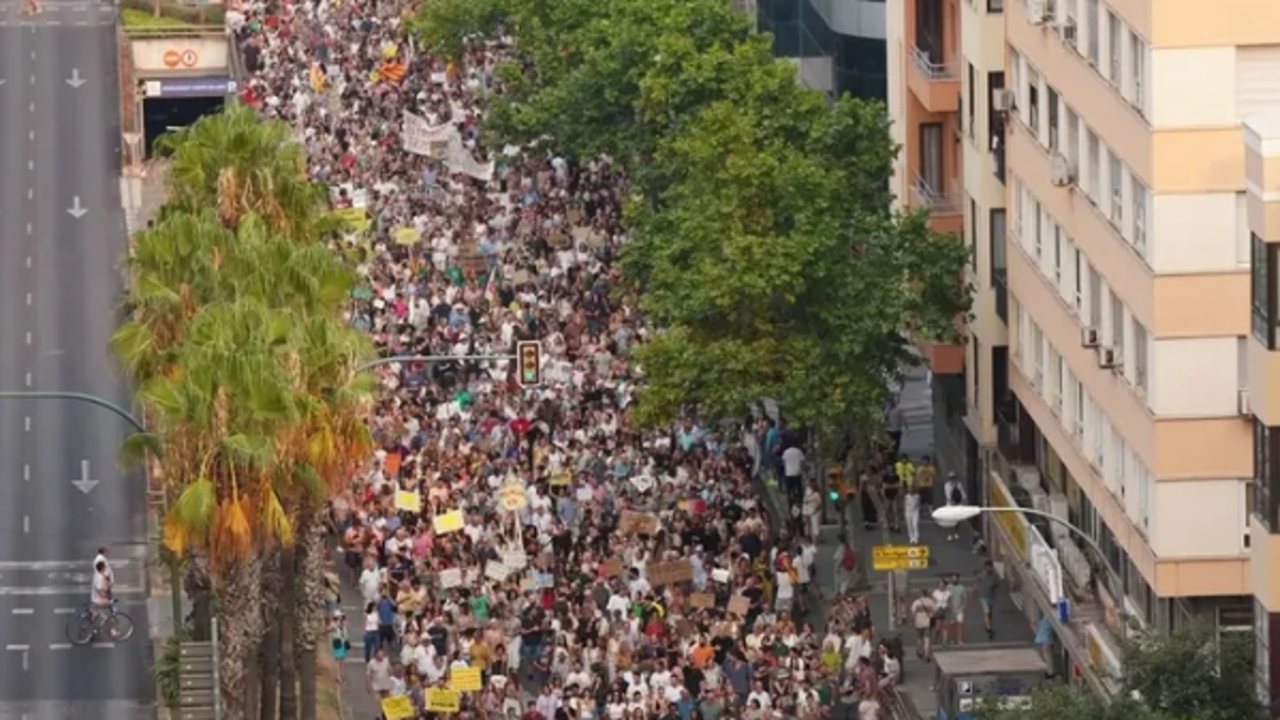 Vista a&eacute;rea de la manifestaci&oacute;n