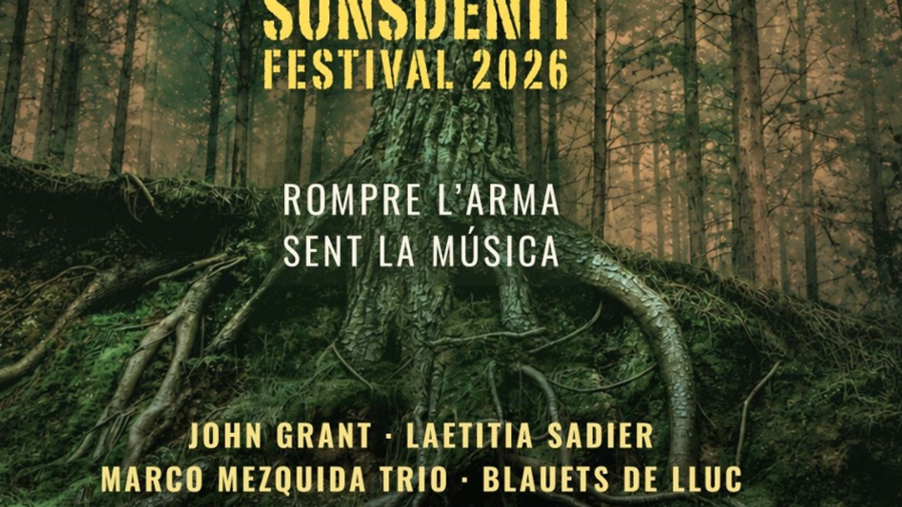 Sonsdenit