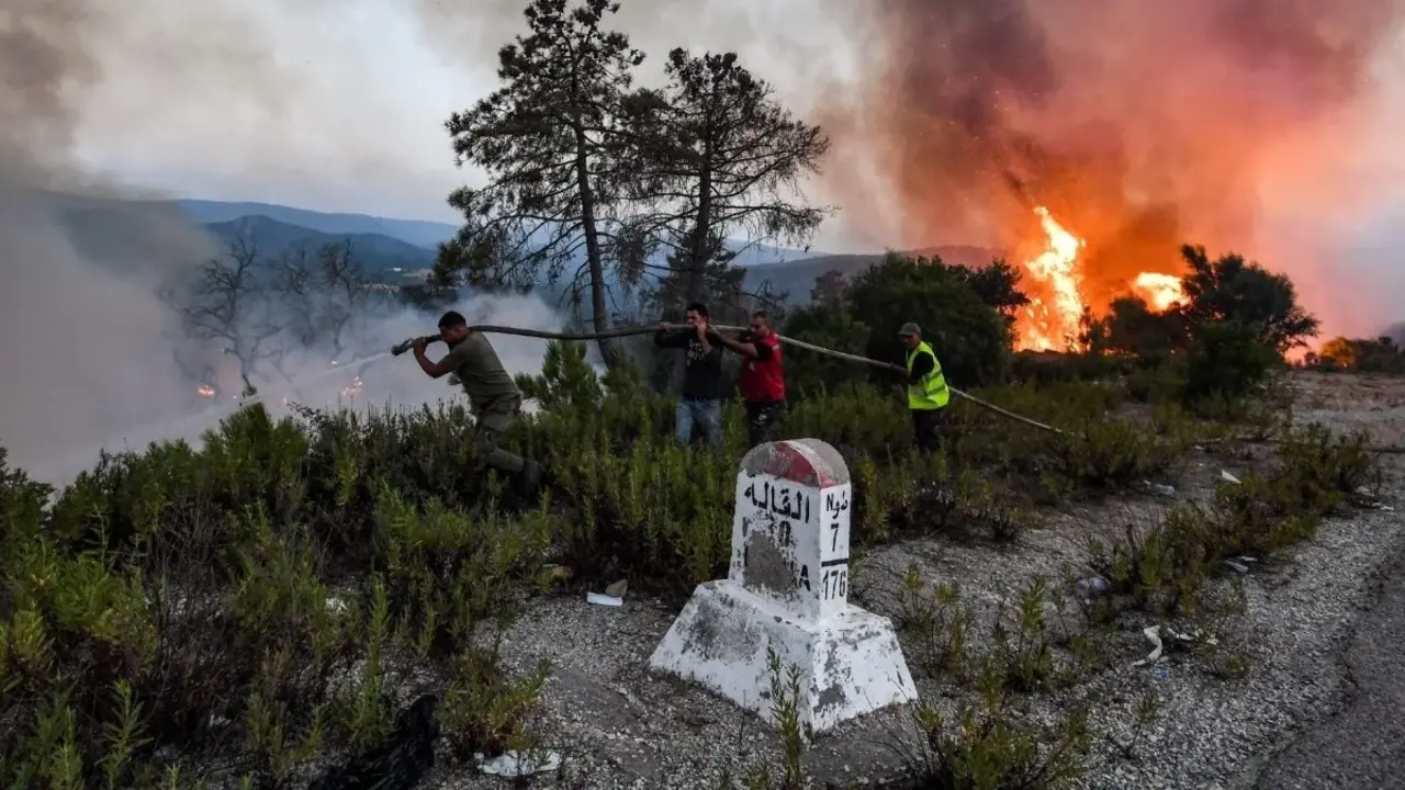 Incendios en Argelia