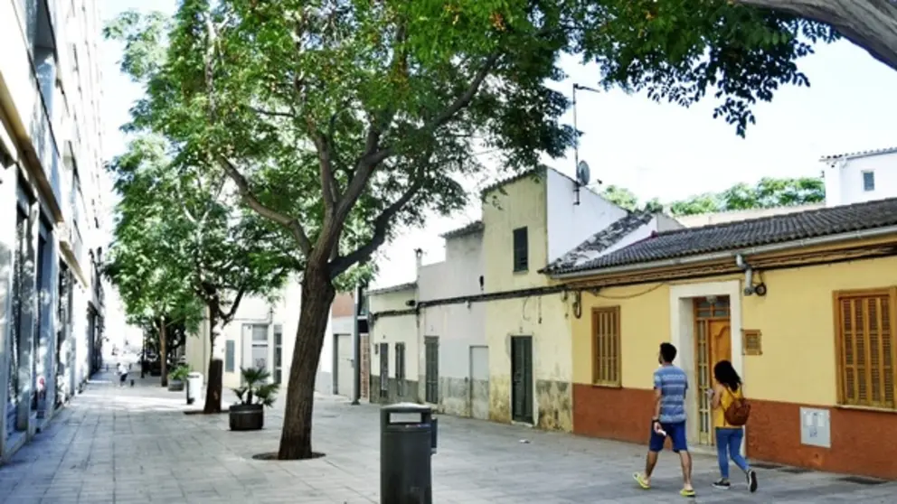 Calle borguny
