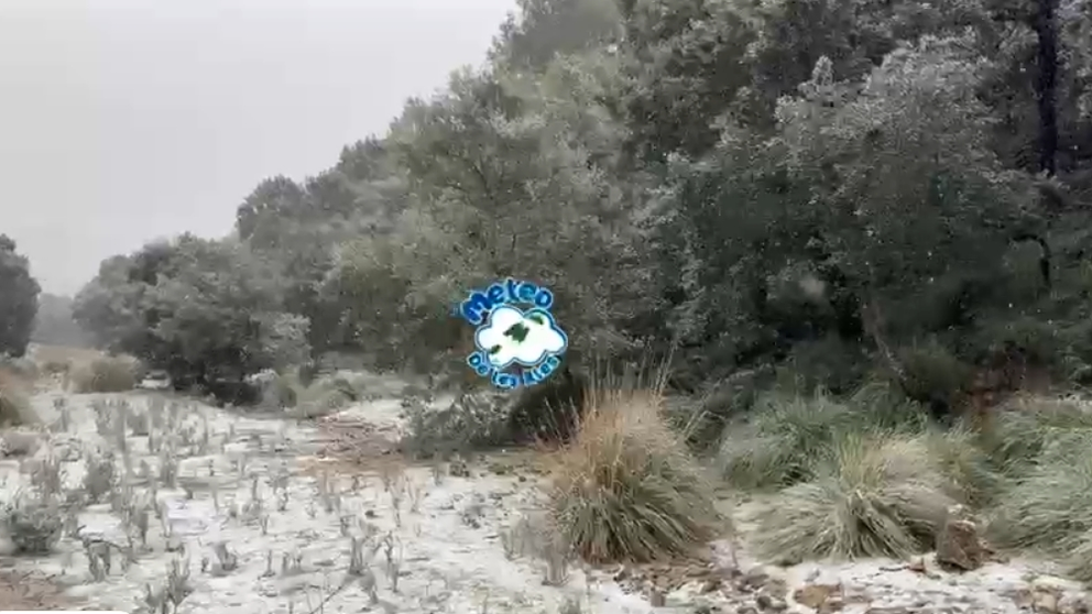 foto son torrella de meteoilles