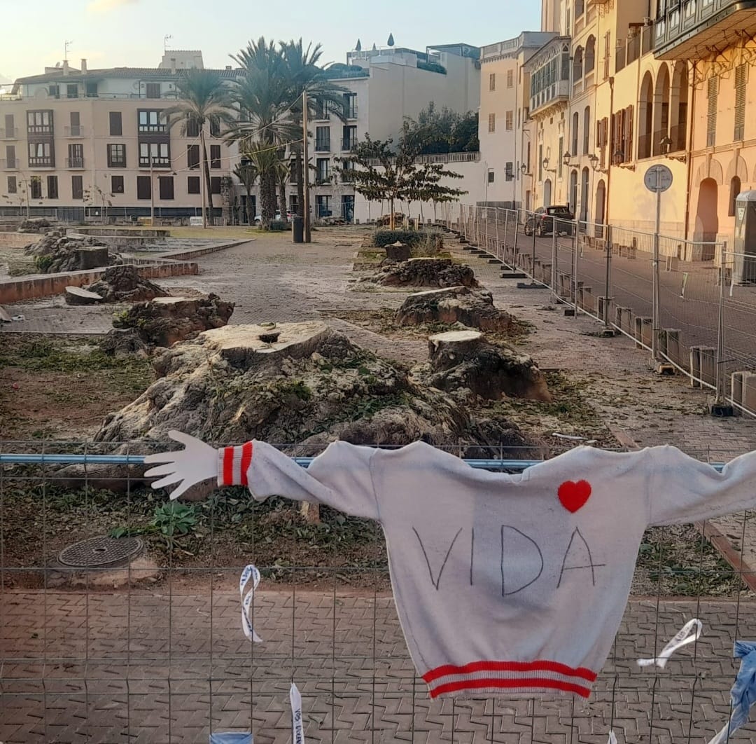 escenario despues de la tala