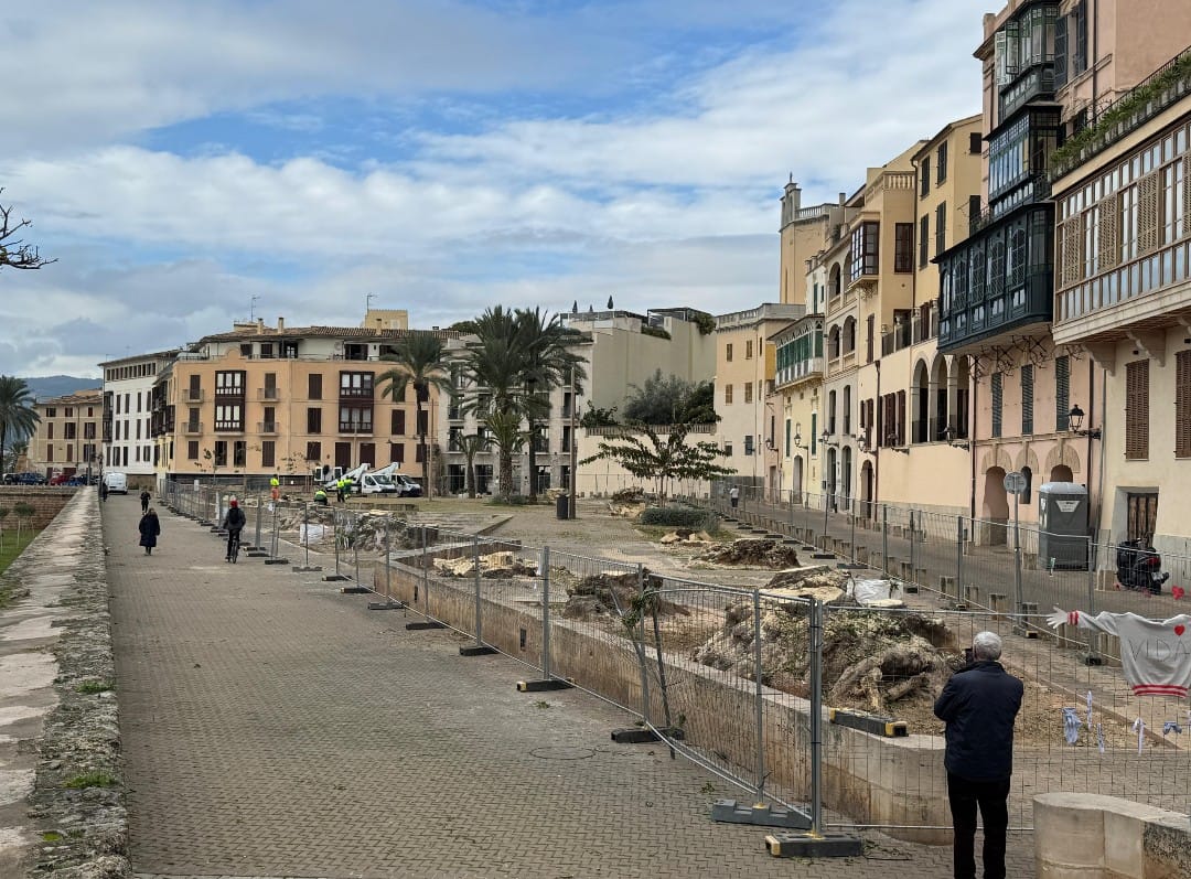 Plaza sin los árboles