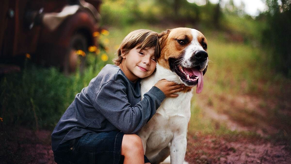 perro y niño