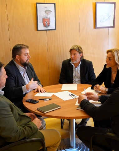 Reunión de trabajo en el despacho de la diputada canaria