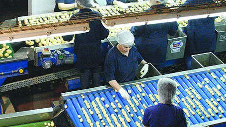 Trabajadores de s'esplet