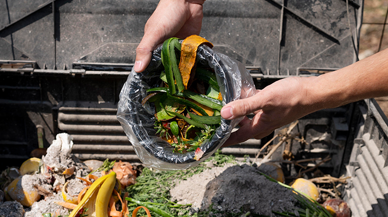 Desperdici alimentari