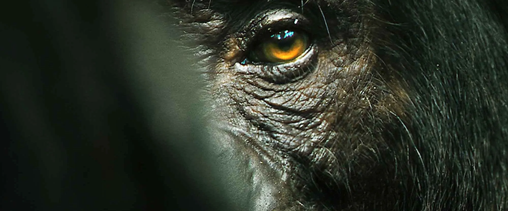 Jackson uno de los líderes