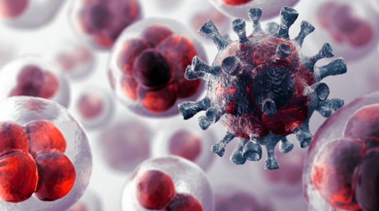 Células cancerígenas