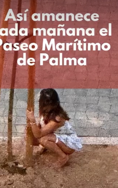 Captura de pantalla del instagram de la asociación 2