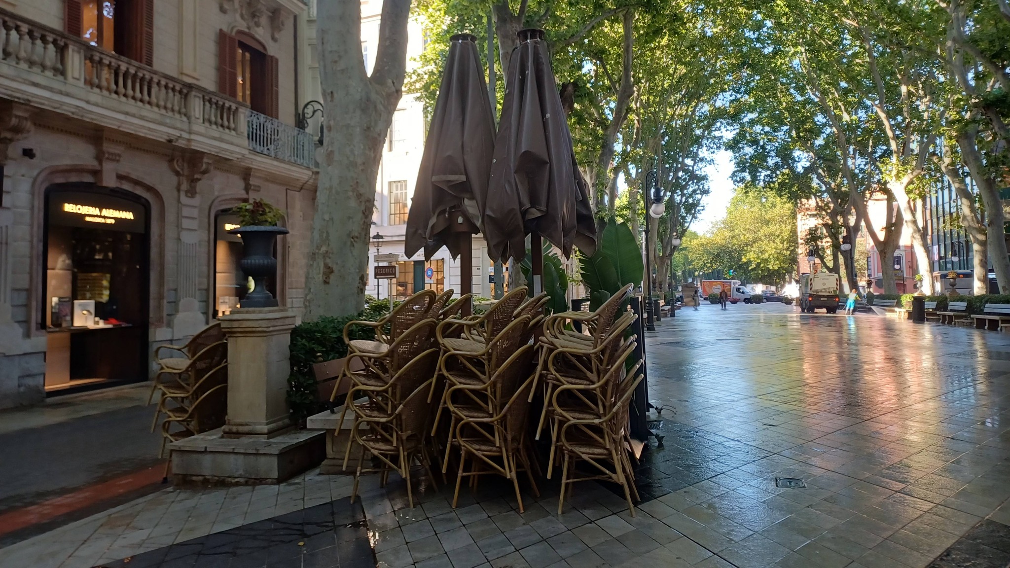 Terrassa del Born