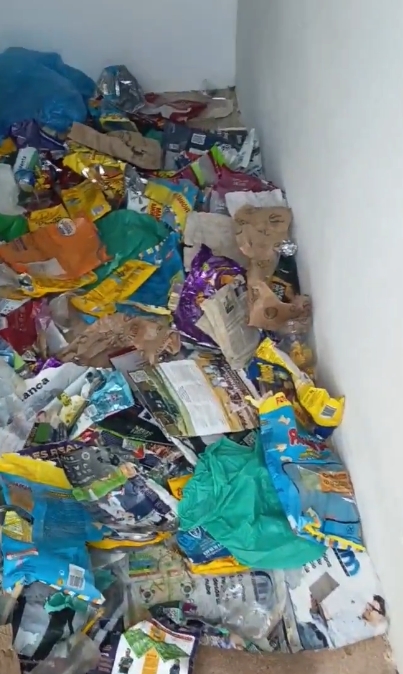 Imagen de los baños asignados a la afición del Baleares