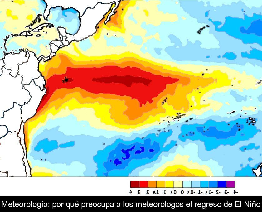 El niño