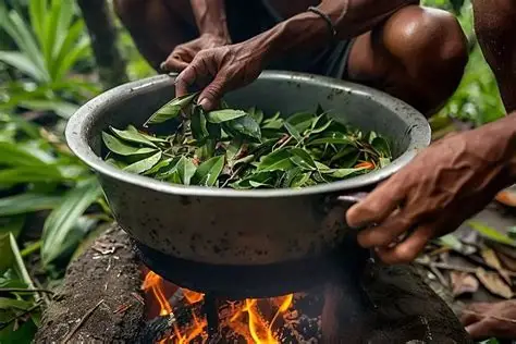 ayahuascca