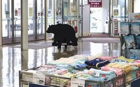 oso en Japón