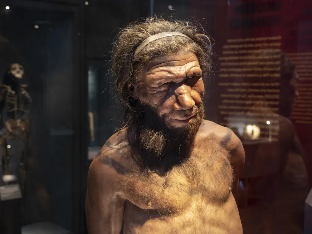 neandertal