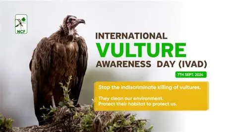 Fundación de Conservación de Nigeria NCF