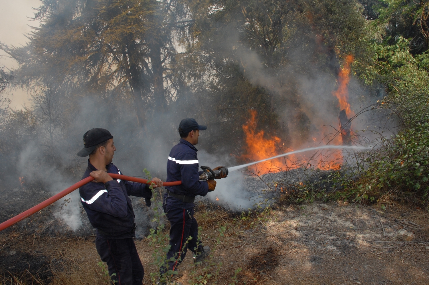bomberos argelinos