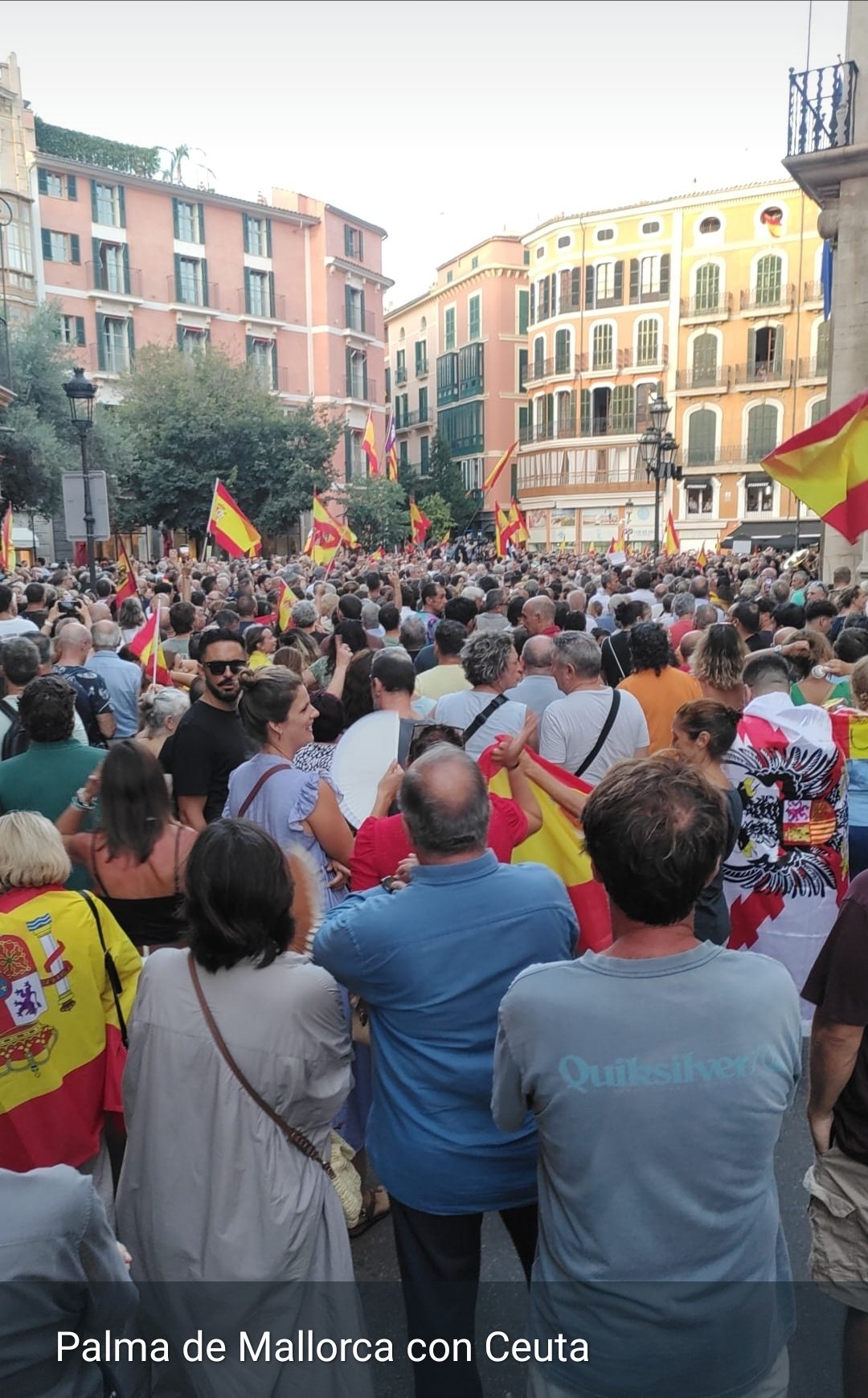 Concentración en Palma